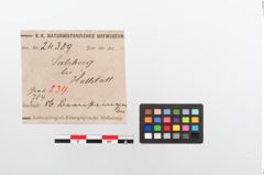 Etikett zu Perlenkette (NHMW-PRAE-024389)